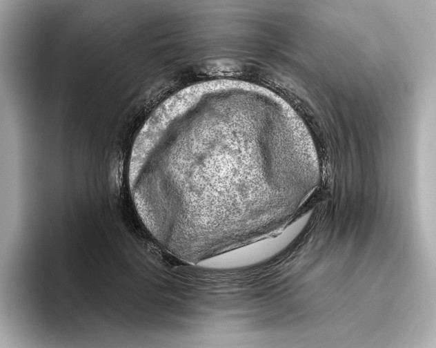 X0000096450652200802141513