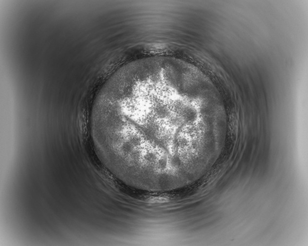 X0000096450653200802141513