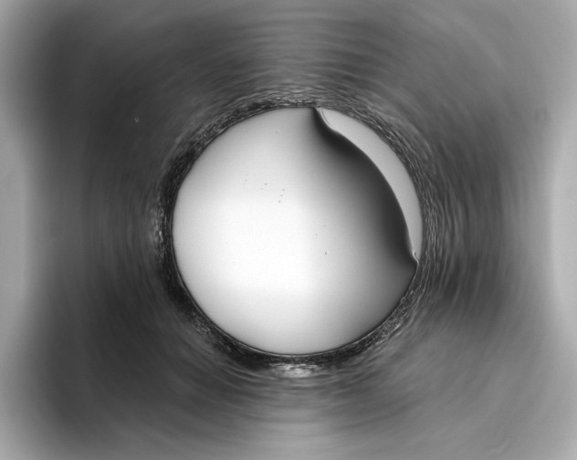 X0000096450654200802141513