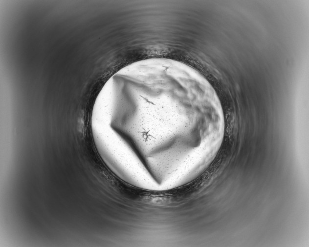 X0000096450655200802141513