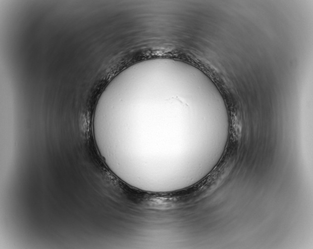 X0000096450657200802141513