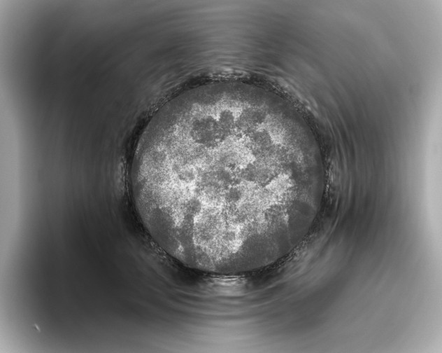 X0000096450659200802141513