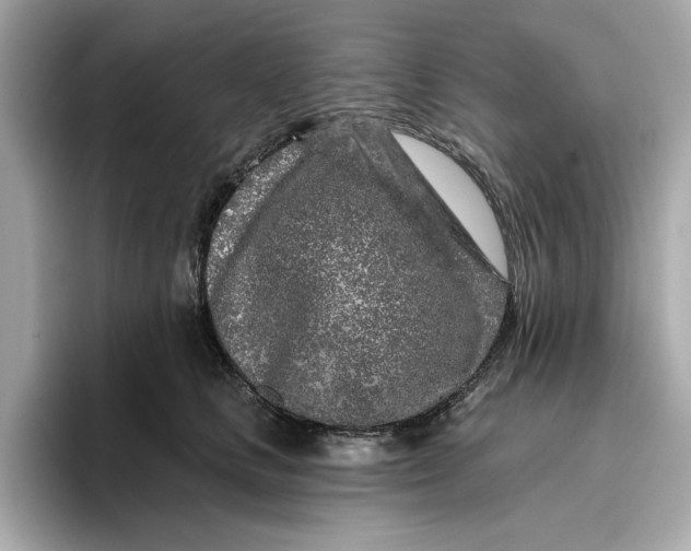 X0000096450661200802141513