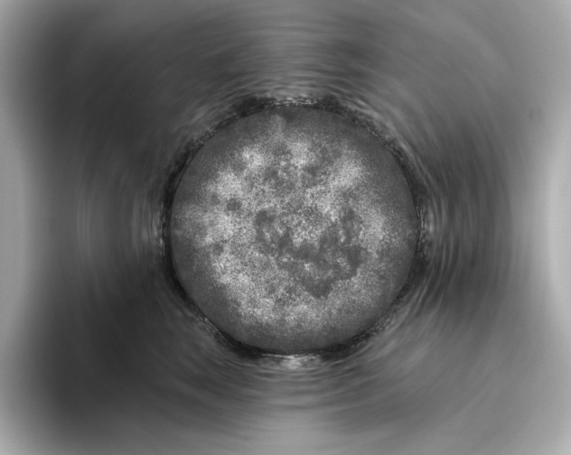 X0000096450663200802141513