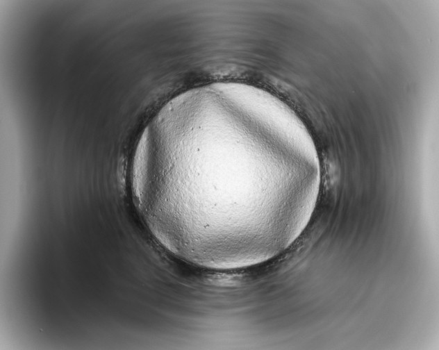 X0000096450664200802141513