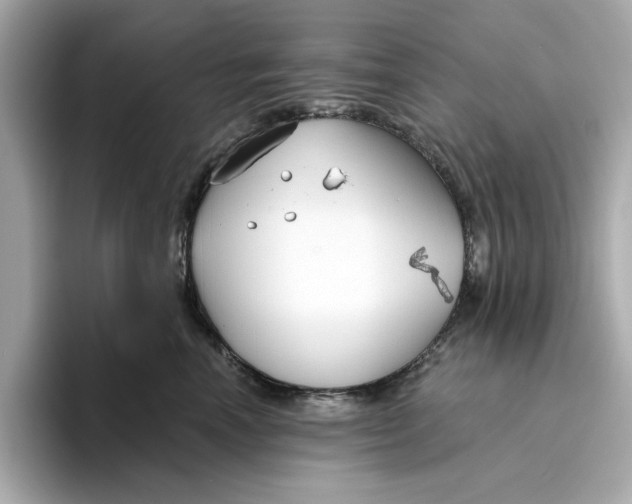 X0000096450666200802141513