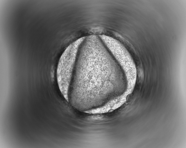 X0000096450668200802141513