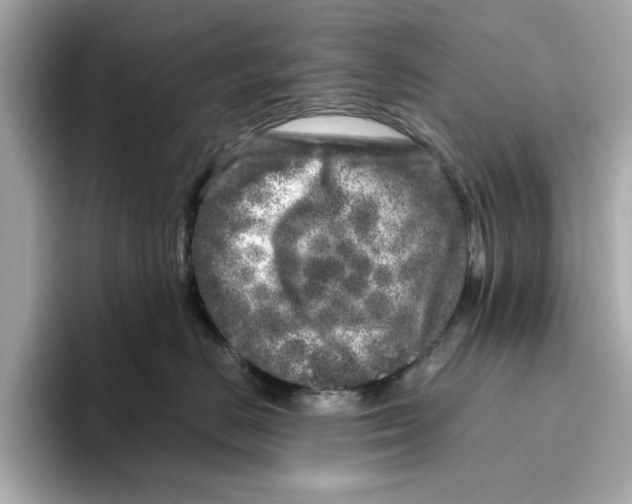 X0000096450670200802141513