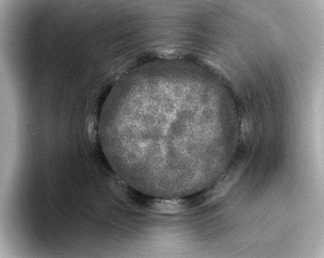 X0000096450671200802141513