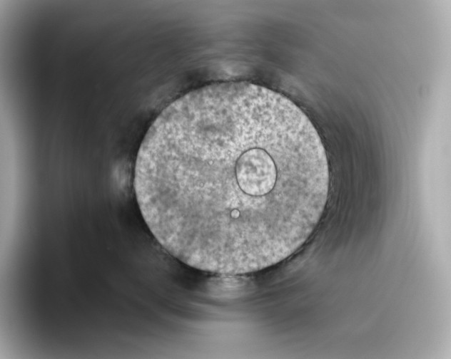 X0000096450672200802141513