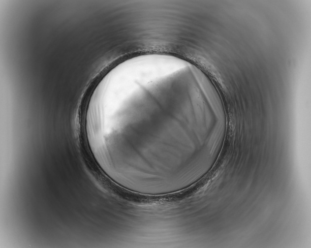 X0000096450674200802141513