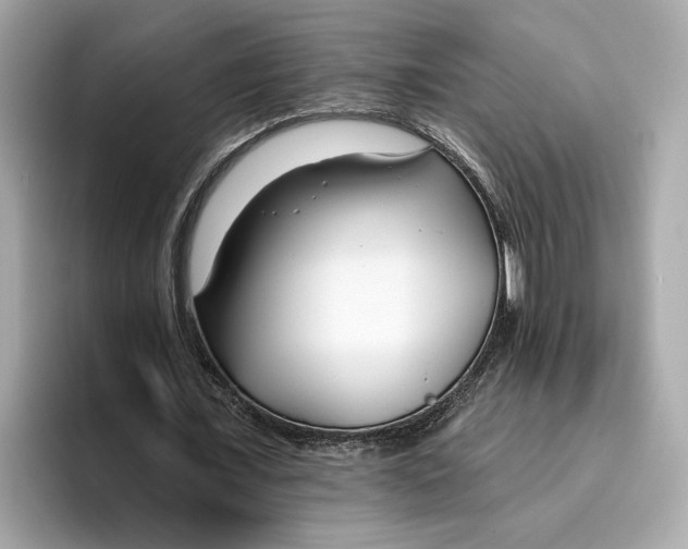 X0000096450675200802141513