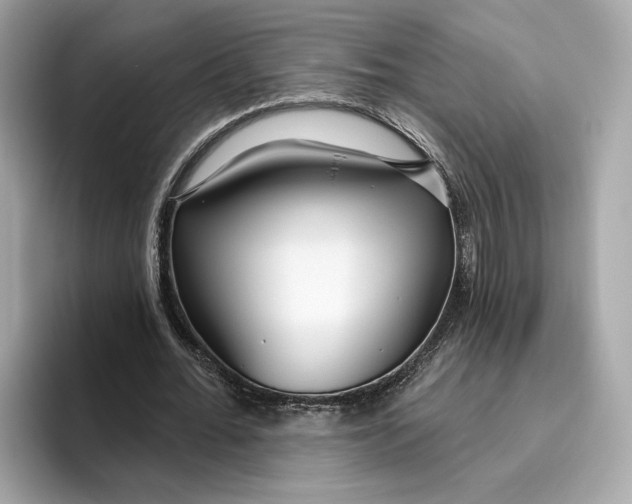 X0000096450676200802141513