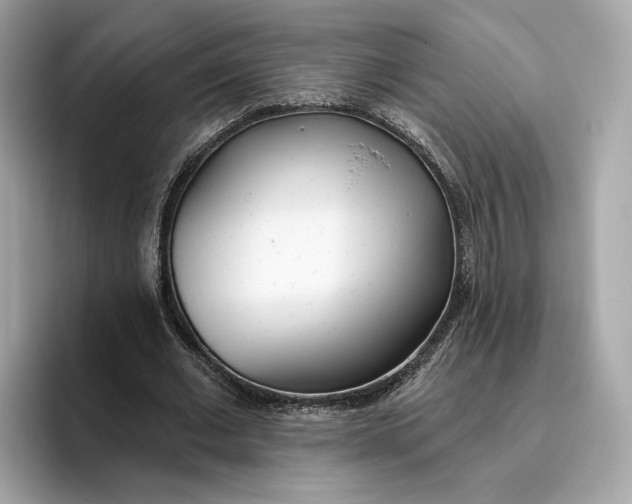 X0000096450677200802141513