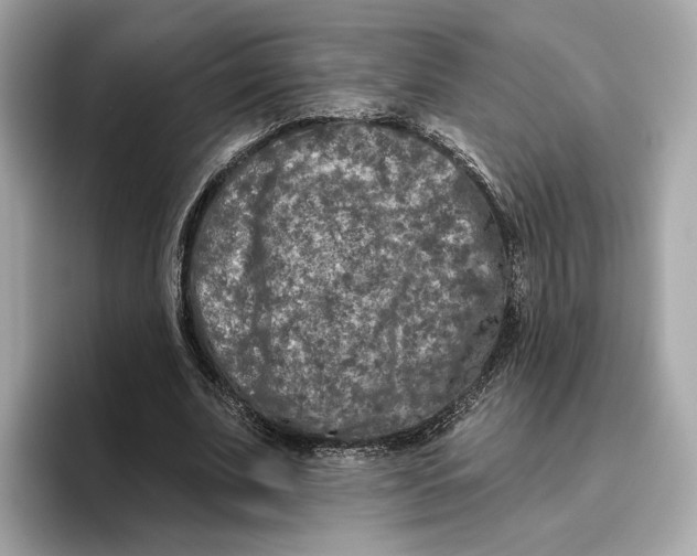 X0000096450679200802141512