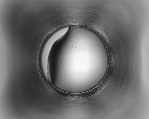 X0000096450681200802141512