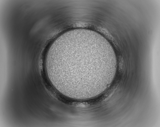 X0000096450683200802141512