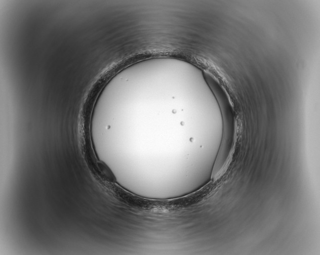 X0000096450684200802141512