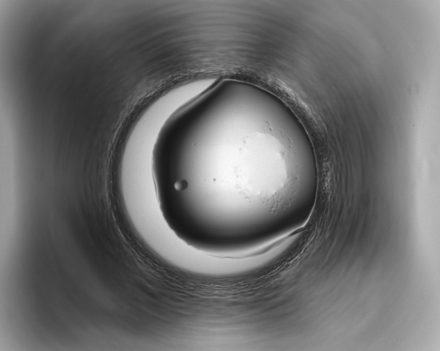 X0000096450685200802141512