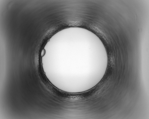 X0000096450686200802141512