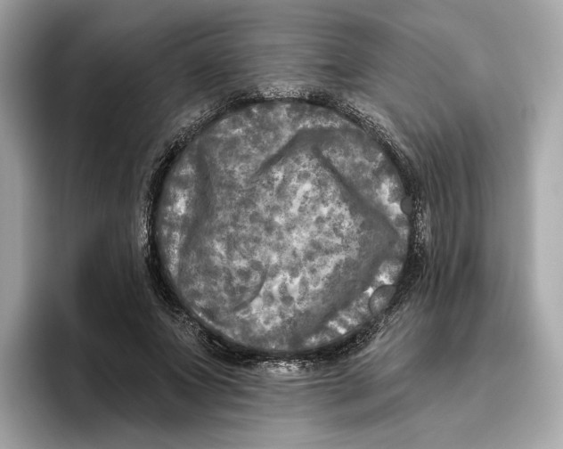 X0000096450687200802141512