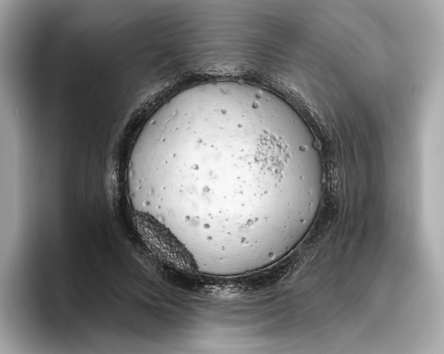 X0000096450688200802141512