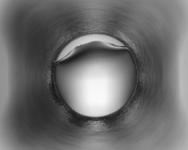 X0000096450689200802141512