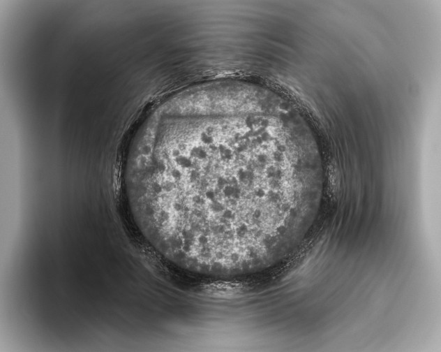 X0000096450691200802141512