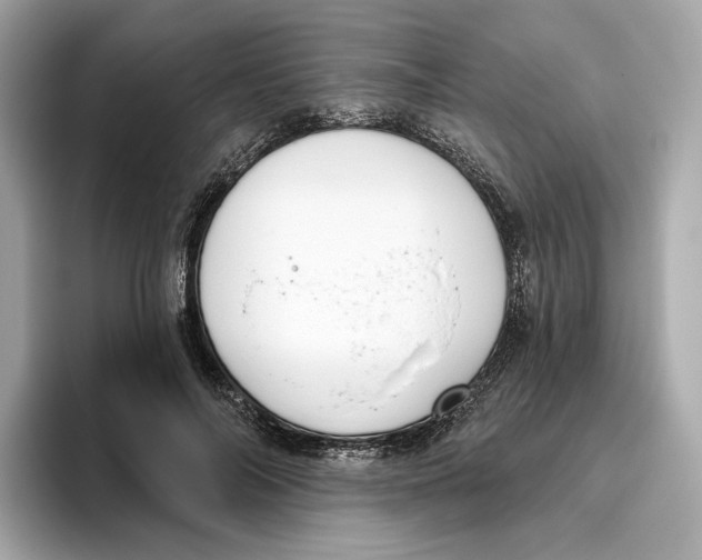 X0000096450694200802141512