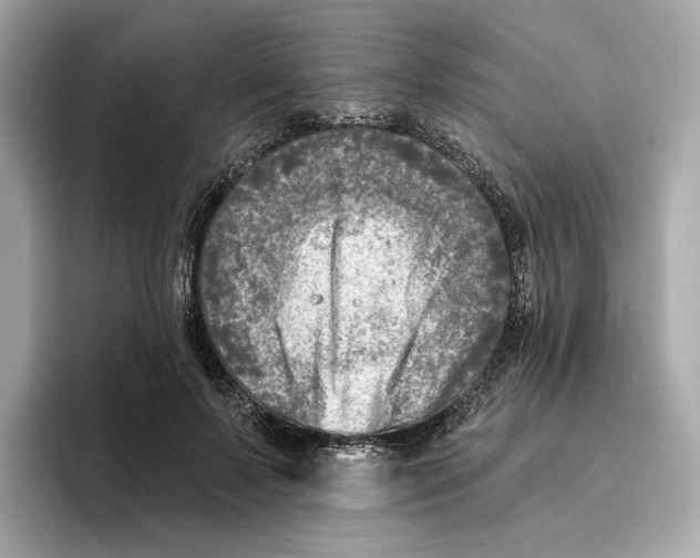 X0000096450695200802141512