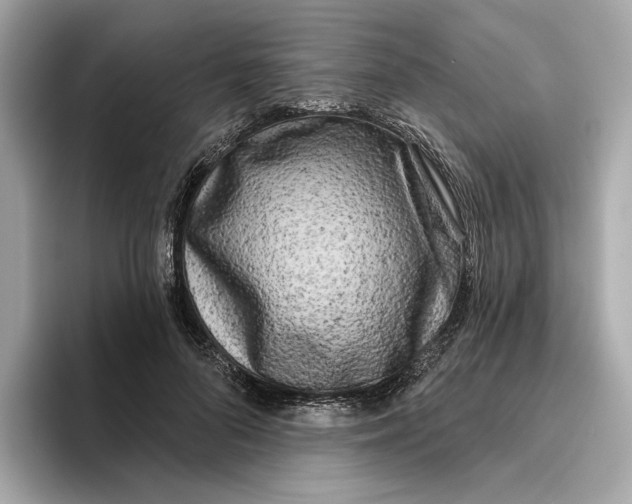 X0000096450696200802141512