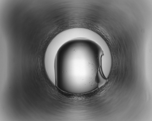 X0000096450697200802141512