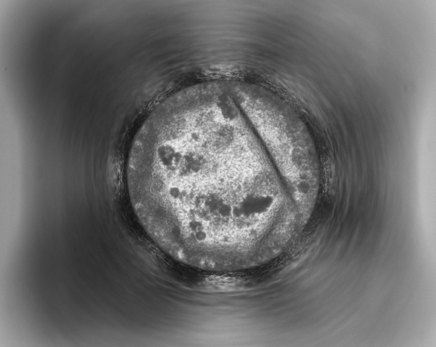 X0000096450699200802141512