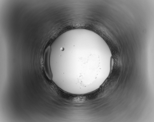 X0000096450700200802141512