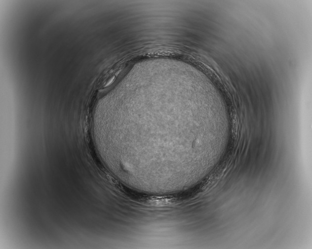 X0000096450701200802141512