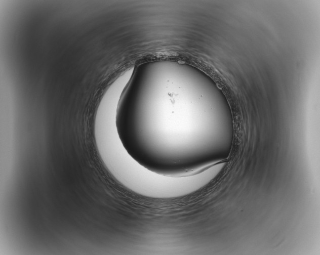 X0000096450704200802141512