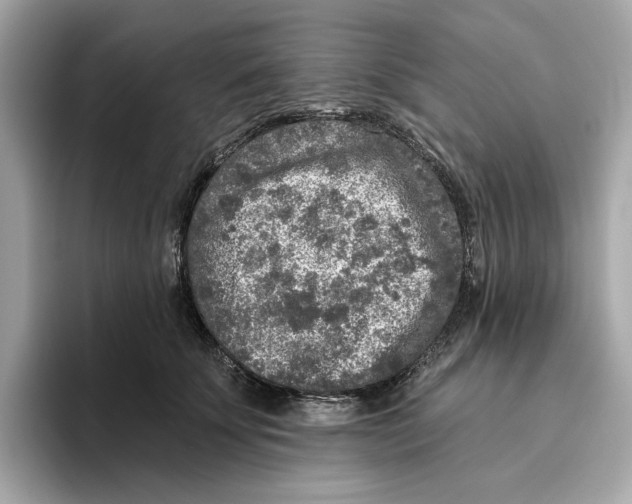 X0000096450707200802141512