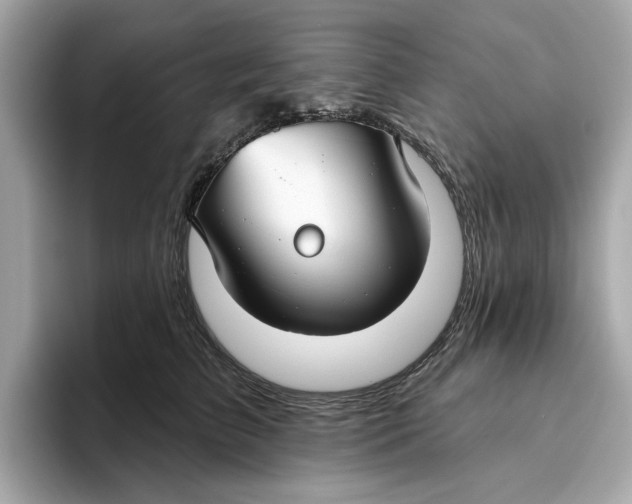 X0000096450709200802141512