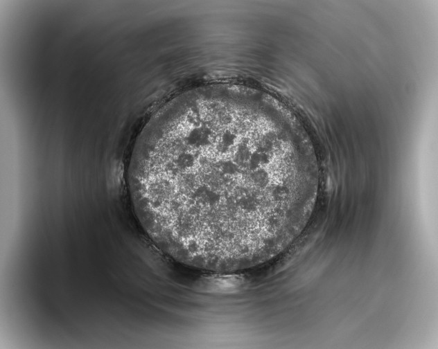 X0000096450711200802141512