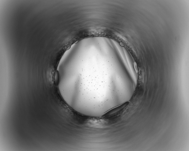 X0000096450712200802141512