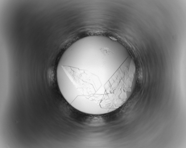 X0000096450715200802141512