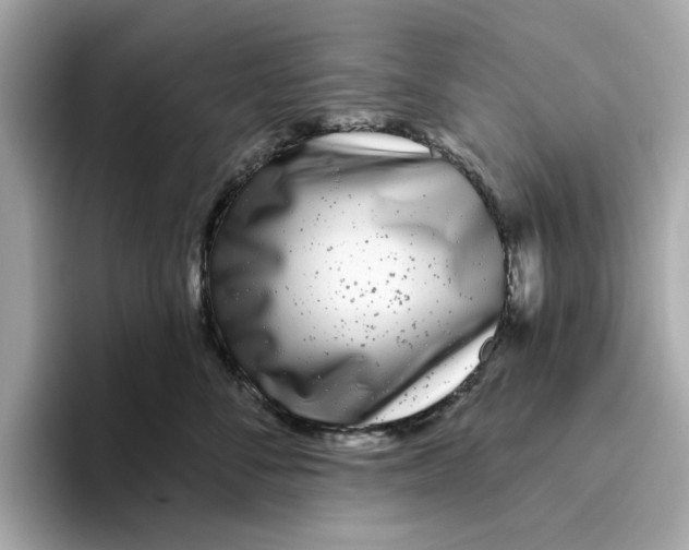 X0000096450716200802141512