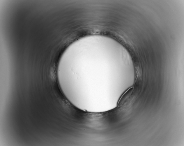 X0000096450719200802141512