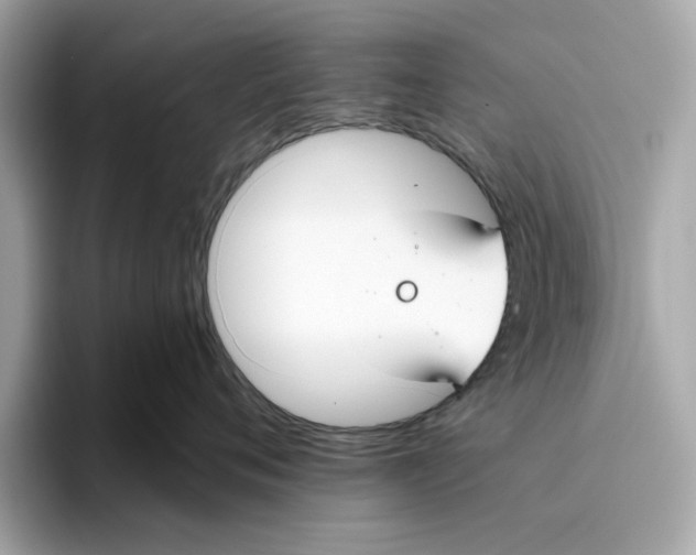 X0000096450720200802141512