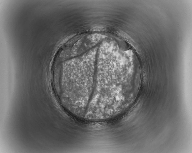 X0000096450721200802141511