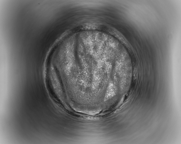 X0000096450722200802141511