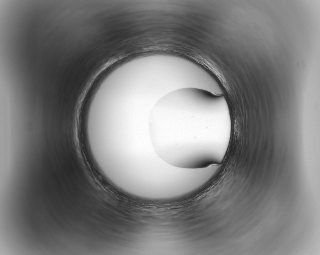 X0000096450724200802141511