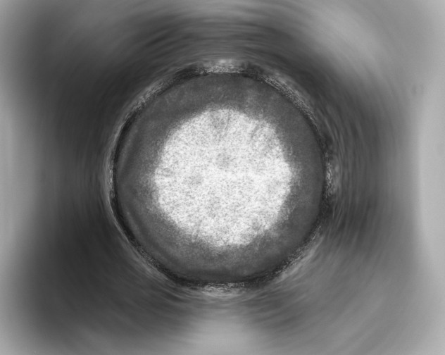 X0000096450725200802141511