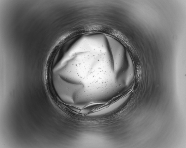 X0000096450726200802141511