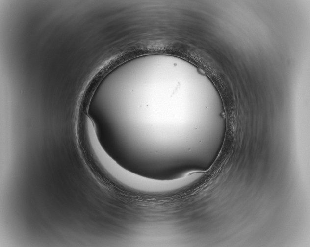 X0000096450728200802141511